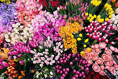 《全面战争：战锤3》1.3版本更新 添加全新精英部队