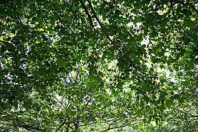 《糖豆人：终极挑战赛》联动街霸服装表情上线